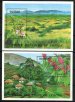 Fruits and crops
