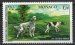 Setter and pointer