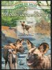 Wild dogs