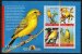Canary