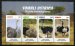 Somali Ostrich