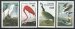 Audubon Birds