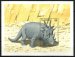 Styracosaurus