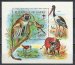 Vervet monkeys