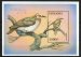 Grenada Dove