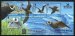 Birdlife-Petrels