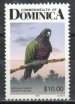 Imperial parrot