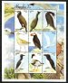 Seabirds