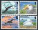 Birdlife International