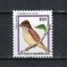 Caribbean Elaenia
