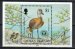 West Indian Whistling Duck