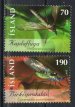 Insects