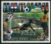 Copa de Oro Mini-World Cup