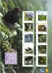Manx Birds