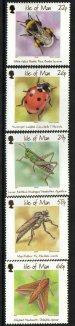 Insects