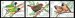 Finches