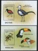 jacana and Toucan