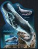 Sperm Whale