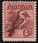 Kookaburra