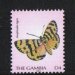 Butterfly dated 2003