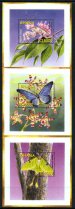 Butterflies, Moths, Insects