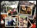 Royal Family Photographs