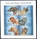 Cats & Dogs of the World