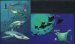 International Year of the Ocean