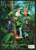 Parrots and Parakeets