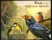 Birds of the Solomon Islands