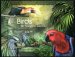 Birds of the Solomon Islands