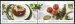 2005 Europa, food