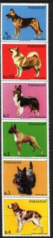 Dogs