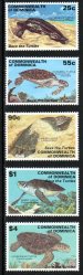 Save the Turtle overprint