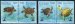 Year of the Seal Turtle