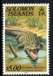 Crocodile