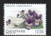 Seaside Pansy