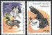 2019 Europa birds