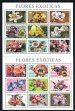 Exotic flowers