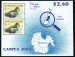 Providence Petrels