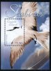 Sea Birds