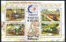 Narrow gauge railways