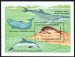 Monk seal, dolphin, whales