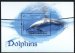 Dolphins