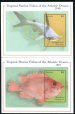 Tropical Marine fishes of the Atlantic Ocean