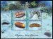 Sea cucumbers