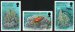 Coral & fish