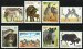 Zebras and Buffaloes