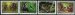 Primates