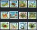 Definitive set of 1980-1981